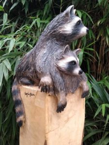 Houten beeld wasberen